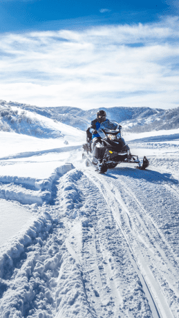 Alpes Hôtel du Pralong